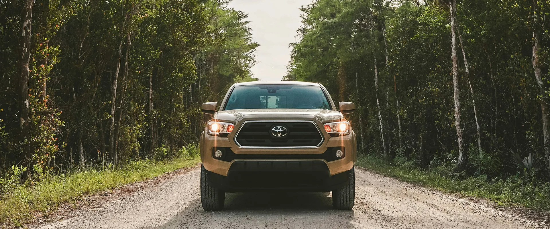 Toyota near San Rafael, CA